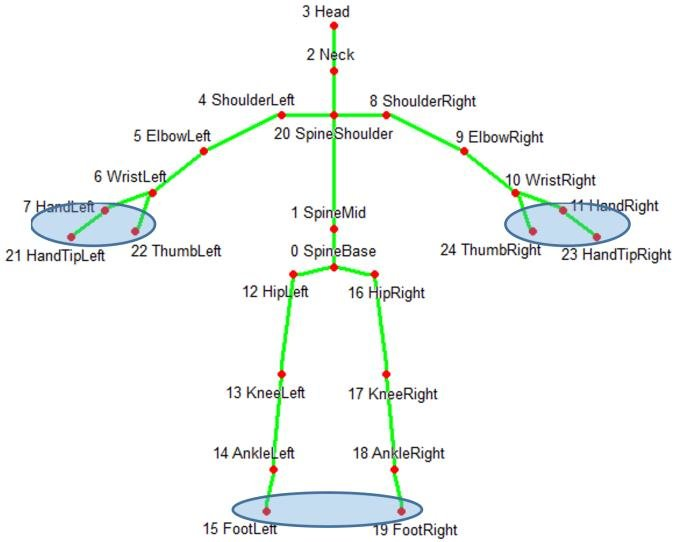 Diagram showing the Kinect's model of the human body, a 2D skeleton made up of various parts